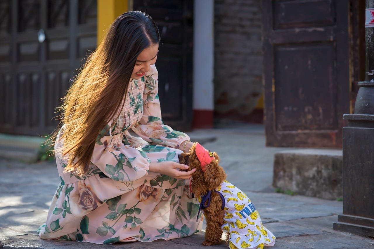 Historical Landmarks Tour Outside Fes' Old Walls 2 girl, dog, light, people, happy, woman, friendship, nature, animal, person, cute, pampered, beautiful, model, pet, happiness, streets, dog, people, people, people, people, people, friendship