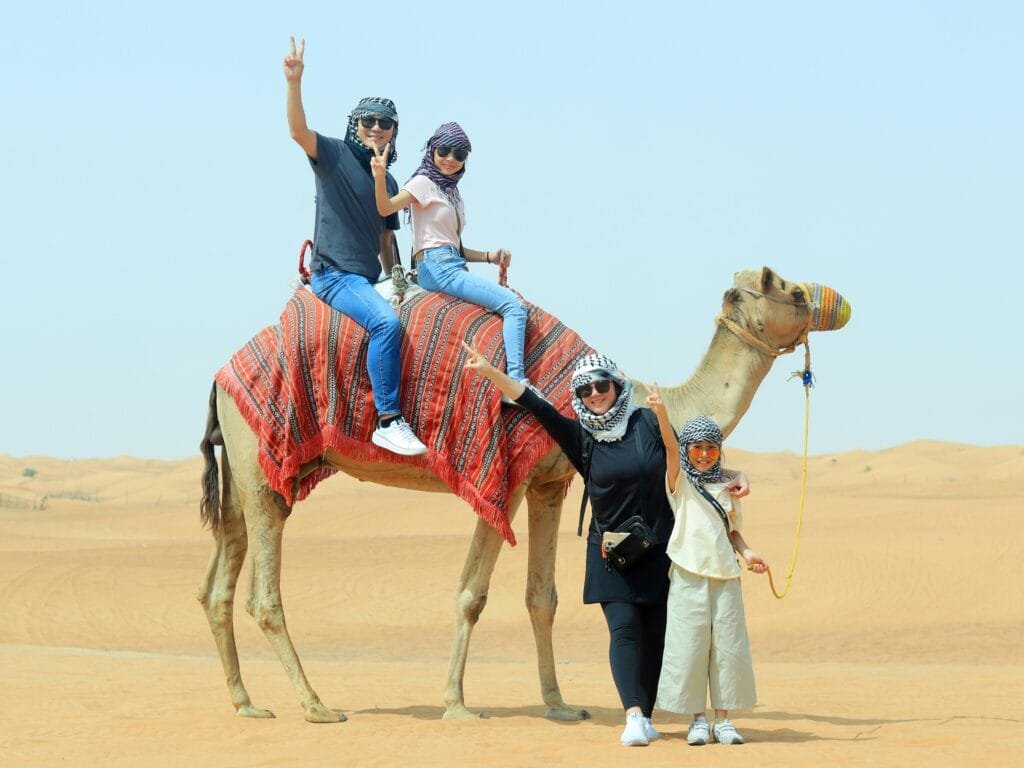 Tourist Transport 4