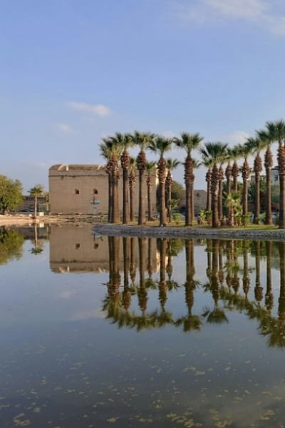 A tranquil view of Jnan Sbil Garden in Fez, showing tall palm trees and a historical building reflected perfectly in a large pond. The scene captures the garden's serene beauty and peaceful retreat atmosphere.