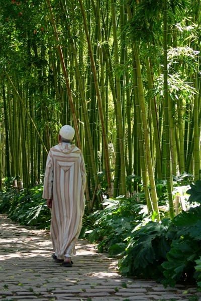 A serene walkway in Jnan Sbil Garden, Fez, showing a man walking amidst lush green bamboo stalks. The historical park offers a peaceful escape and stunning landscape in the heart of the city.