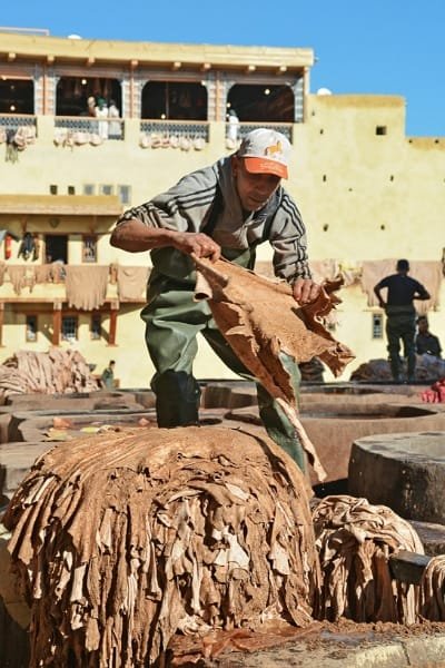 A panoramic view of the Chouara Tannery in Fez, showcasing the deep circular vats filled with colorful natural dyes. The image captures the traditional process of leather dyeing that has persisted for centuries.