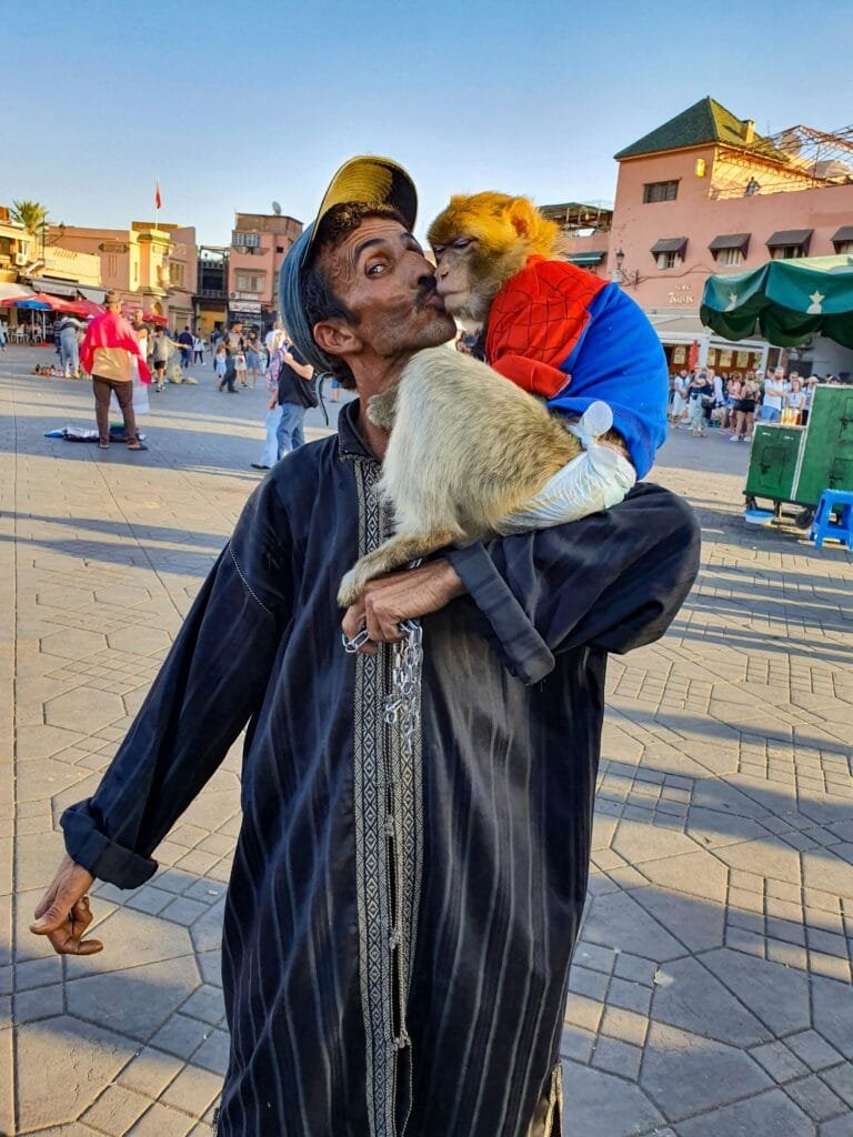 Why Morocco is the Number One Tourist Destination in Africa 31 Whether you're strolling through the bustling souks of Marrakech, exploring the historic kasbahs of Ouarzazate, or spending a night under the stars in the desert, you'll find yourself surrounded by simple, kind people who strive to make your stay enjoyable and full of beautiful memories. Don't hesitate to accept invitations for a meal in a family home, participate in tea rituals, or even help prepare a traditional dish. These are the moments that reveal the essence of the Moroccan spirit and leave an indelible impression on you.
