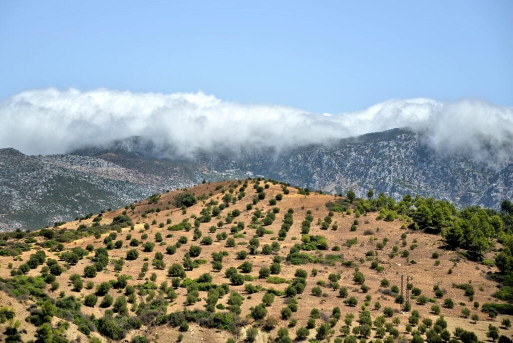 5 Authentic Local Experiences We Recommend Trying in Morocco (Away from the Typical Tourist Spots) 23 Escape the bustling energy of the cities and journey into the serene embrace of a Moroccan mountain or rural village – it's an experience that offers an indescribable sense of peace and authenticity.Here, you'll witness life unfolding at a different pace, a rhythm dictated by nature and tradition. You'll see firsthand how people live simply, tending to their fields, caring for their livestock, and embracing a way of life deeply connected to the land. Villagers welcome visitors with genuine smiles and open hearts, eager to share their everyday existence.