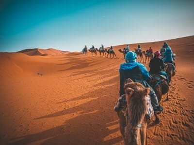 A group of tourists riding camels across the massive golden sand dunes of the Merzouga Sahara Desert, illustrating the 2-day shared tour experience from Fes, Morocco.
