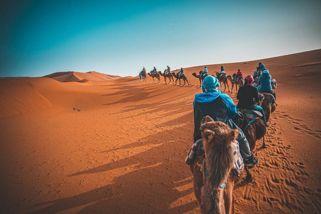 Tourists on a camel trek over the high Merzouga dunes during a Sahara Desert tour.
