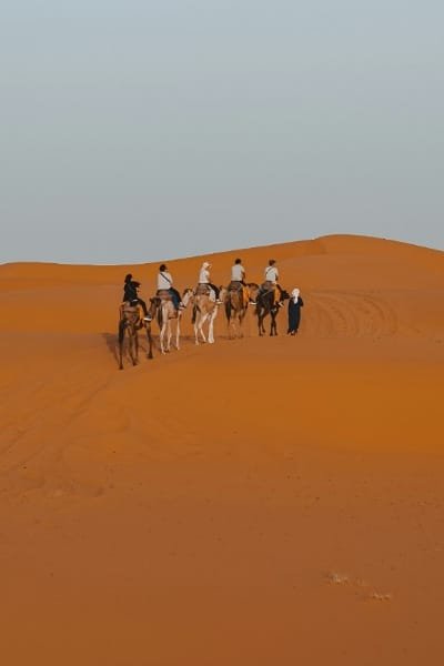 A line of tourists riding camels, led by a guide, across the golden sand dunes of the Merzouga Sahara Desert, promoting safari and adventure tours.