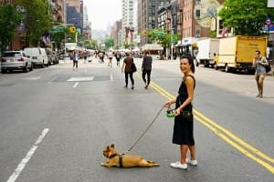 A happy couple holding hands and looking down at the illuminated blue-washed houses of Chefchaouen at twilight, reflecting a magical, must-do day trip experience.