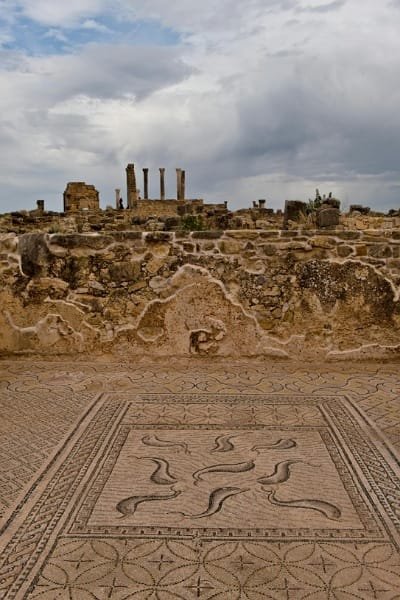 A close-up view of a well-preserved Roman floor mosaic (Zellige) at the Volubilis archaeological site, with temple columns in the background, highlighting the beauty of the historical ruins.