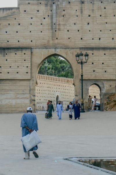 A wide view of Jnan Sbil Gardens in Fes, showing lush trees, palm groves, and shaded pathways, reflecting a peaceful green oasis perfect for relaxation on the panoramic tour.